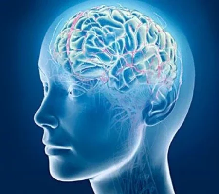 Veja os 4 signos do zodíaco considerados mais inteligentes