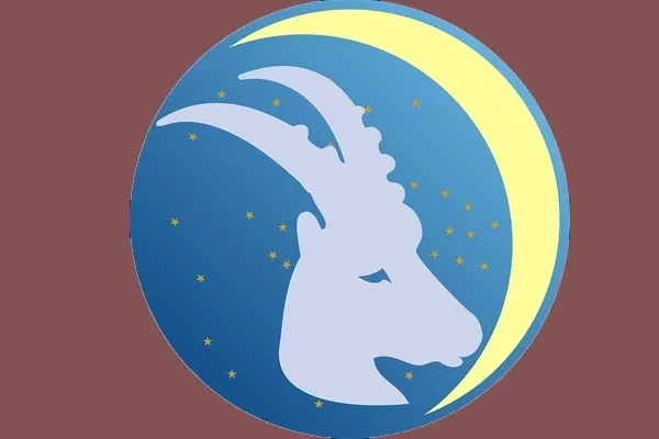 Veja os signos do zodíaco que combinam em um relacionamento - imagem 3470