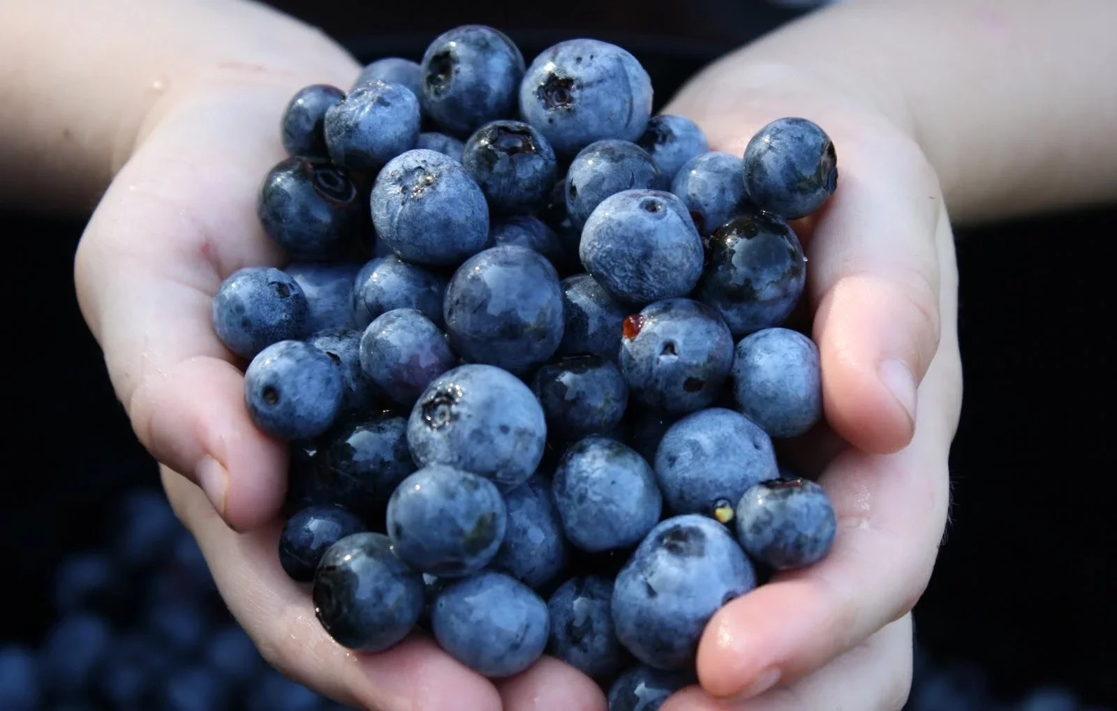 Sete frutas que ajudam a combater a dificuldade de ereção - imagem 3610