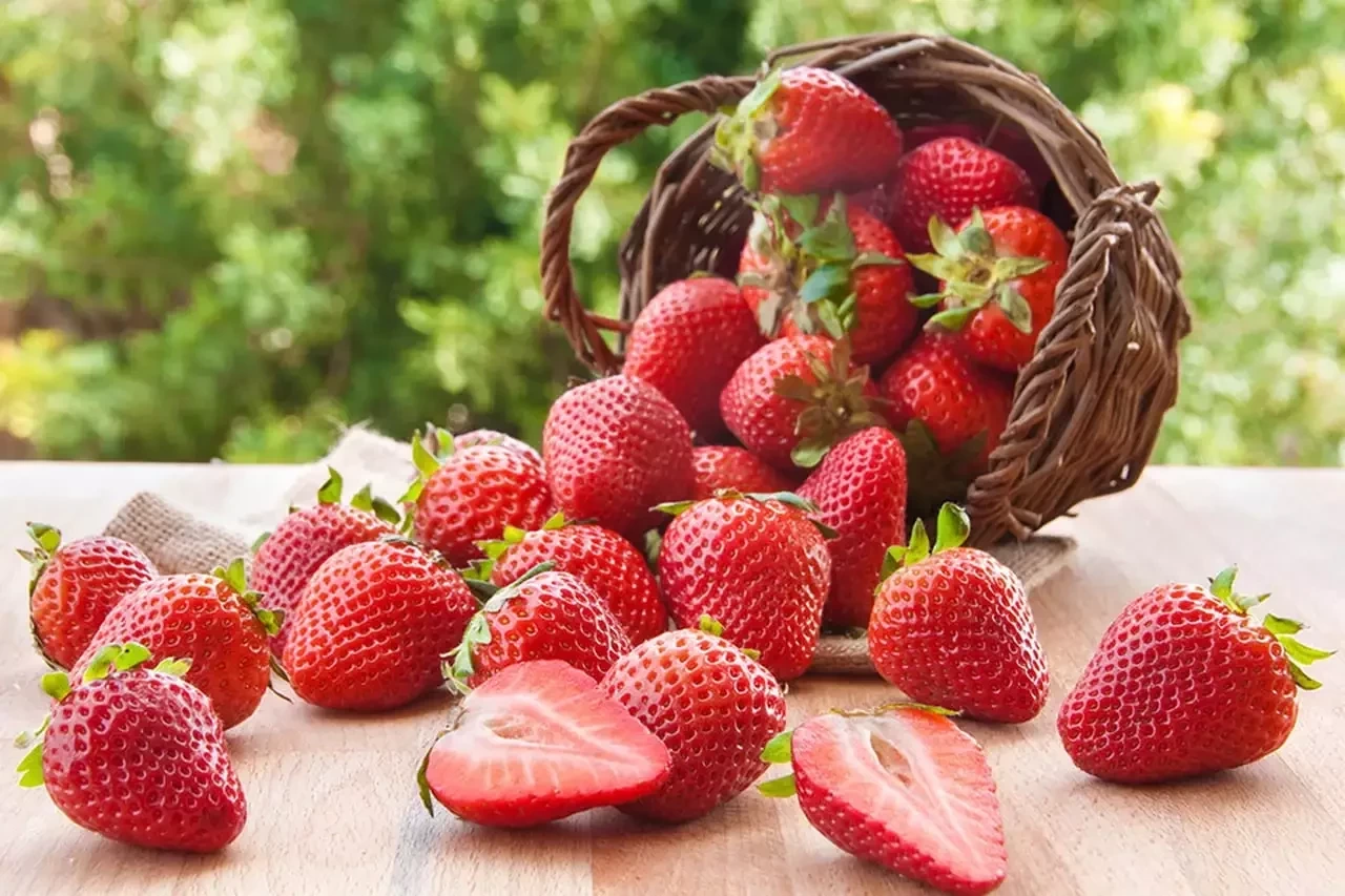 Sete frutas que ajudam a combater a dificuldade de ereção - imagem 3609