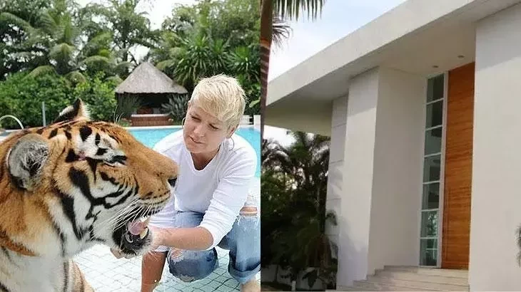 Conheça as mansões milionárias dos grandes apresentadores da TV  - imagem 4018