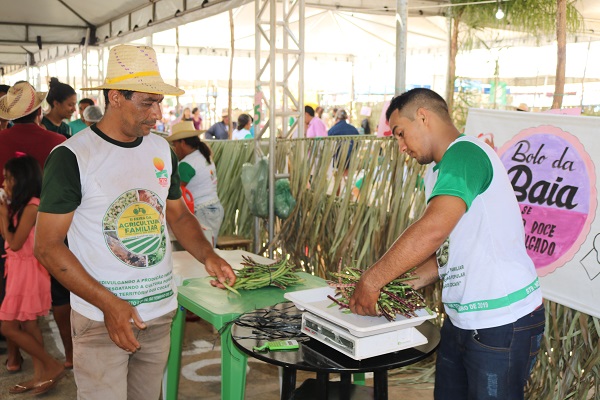 Município de N. S. dos Remédios realiza II Feira da Agricultura Familiar - Imagem 20