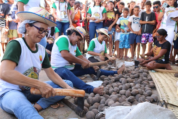 Município de N. S. dos Remédios realiza II Feira da Agricultura Familiar - Imagem 46