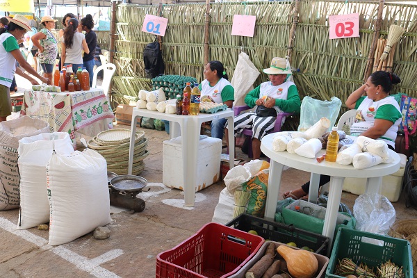 Município de N. S. dos Remédios realiza II Feira da Agricultura Familiar - Imagem 18
