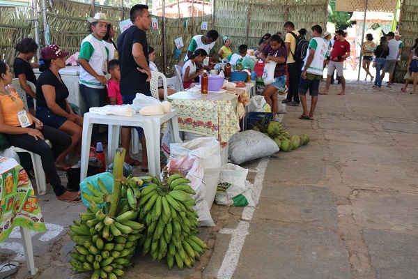 Município de N. S. dos Remédios realiza II Feira da Agricultura Familiar - Imagem 19