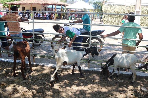 Município de N. S. dos Remédios realiza II Feira da Agricultura Familiar - Imagem 28