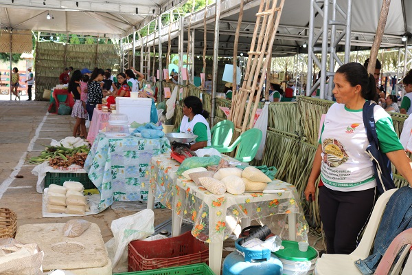 Município de N. S. dos Remédios realiza II Feira da Agricultura Familiar - Imagem 14