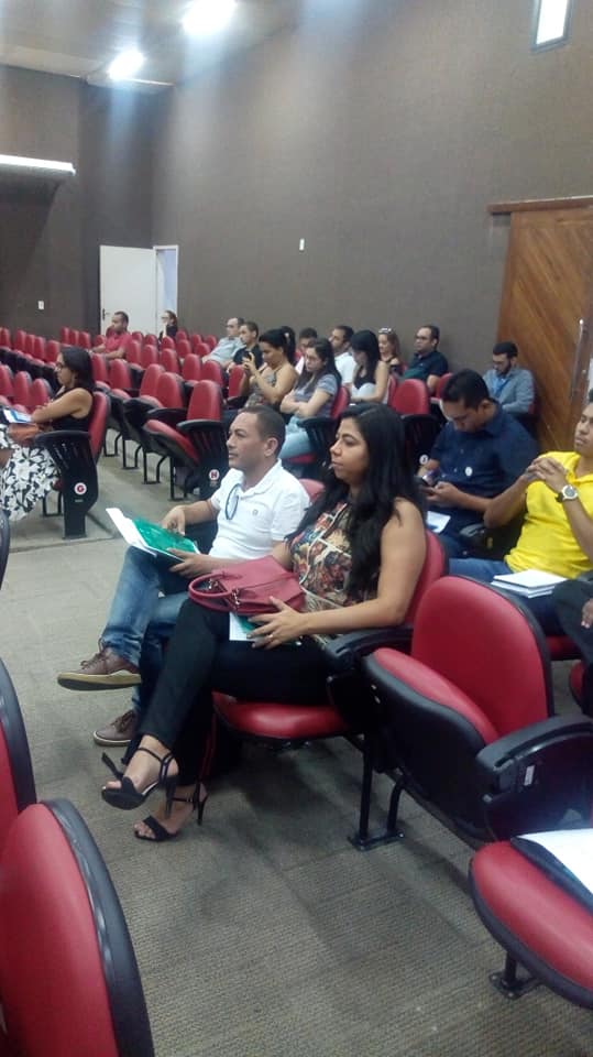 A Secretária de Saúde de Santo Inácio participa de oficina em Teresina - Imagem 2