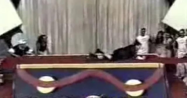 Relembre os 5 maiores tombos de Silvio Santos em seus programas  - imagem 5216