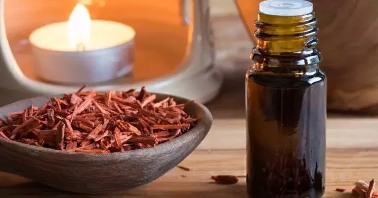 Descubra qual a fragrância de cada signo do zodíaco para atrair o amor - imagem 5702