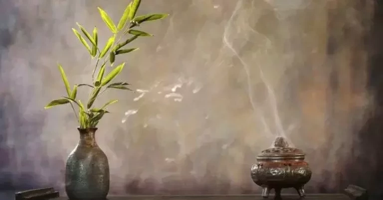 Descubra qual a fragrância de cada signo do zodíaco para atrair o amor - imagem 5709