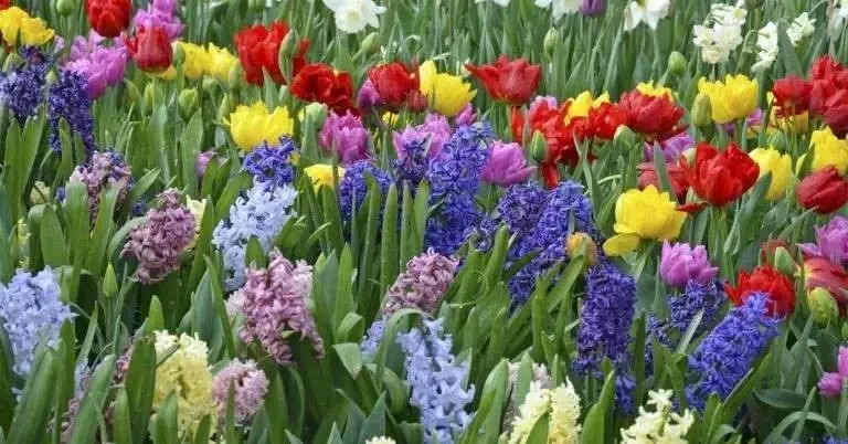 Descubra qual a fragrância de cada signo do zodíaco para atrair o amor - imagem 5704