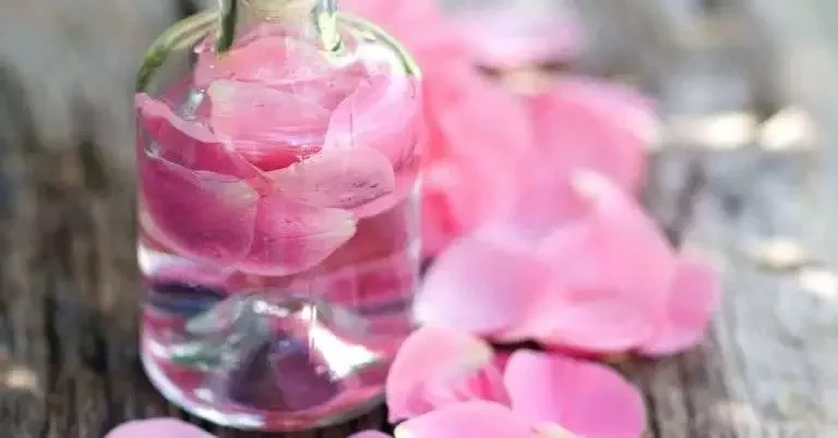 Descubra qual a fragrância de cada signo do zodíaco para atrair o amor - imagem 5706