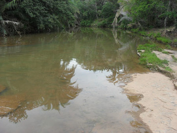 Prefeito João Luiz resgata uma tradição de gerações - Encontro Ecológico - Imagem 6