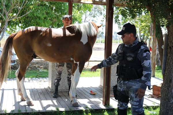 Alunos do Pelotão Mirim tiveram oficina com Esquadrão de Polícia Montada  - Imagem 17