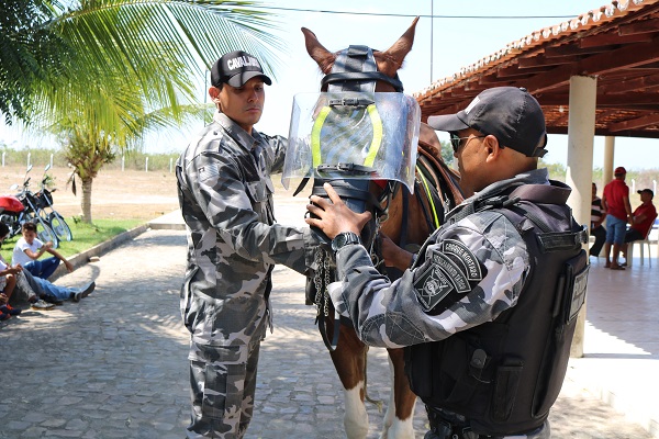 Alunos do Pelotão Mirim tiveram oficina com Esquadrão de Polícia Montada  - Imagem 22