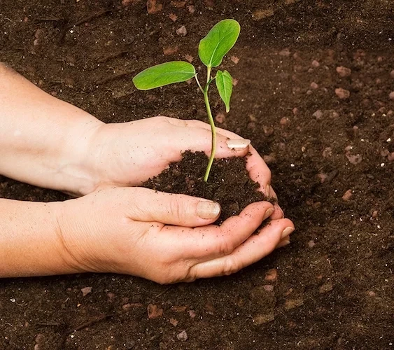 Quer ver os signos saírem do sério?Veja o que cada um deles mais odeia - imagem 6063