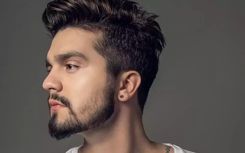 Veja os 10 maiores cachês de cantores brasileiros - imagem 6096