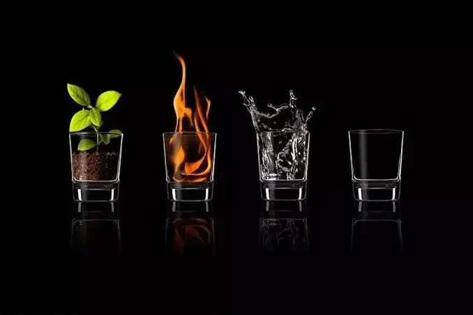 Animal de estimação também tem signo! Saiba como cada um se comporta - imagem 6334