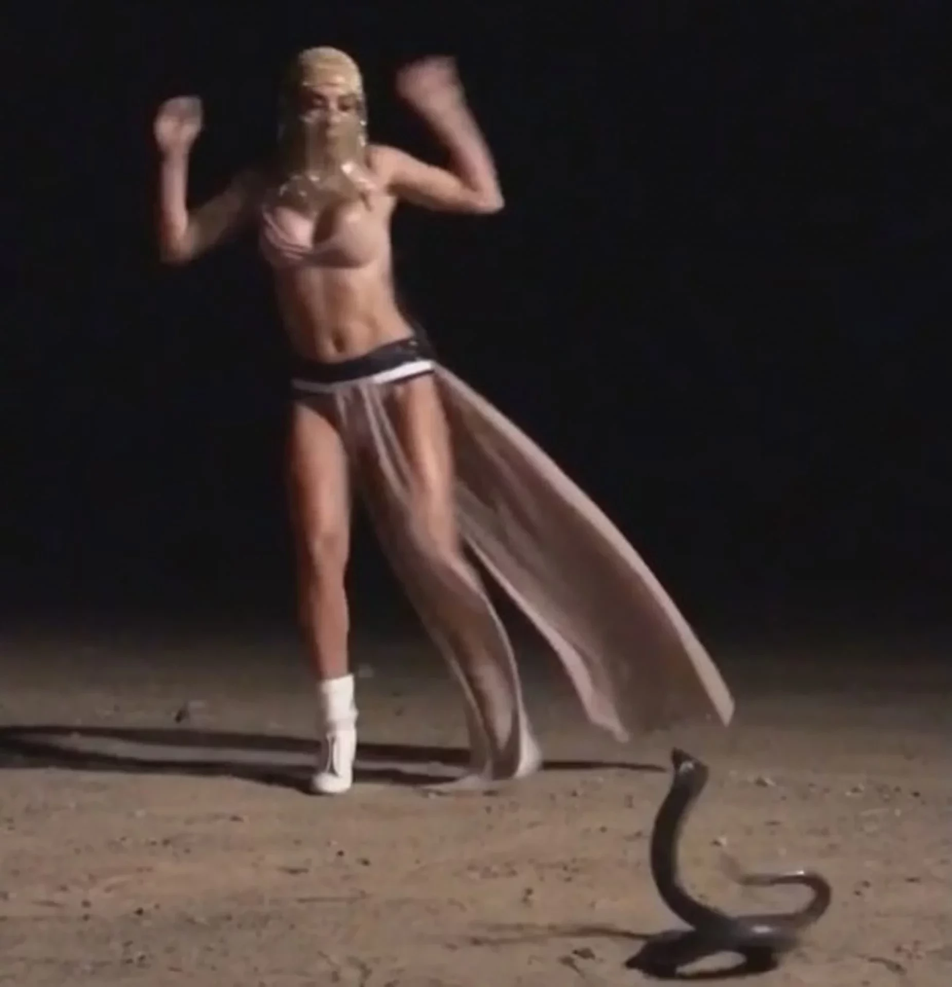 Confira quatro momentos de Anitta com as cobras - imagem 6494