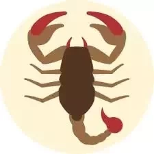 Veja os maiores medos de cada signo do zodíaco - imagem 4290