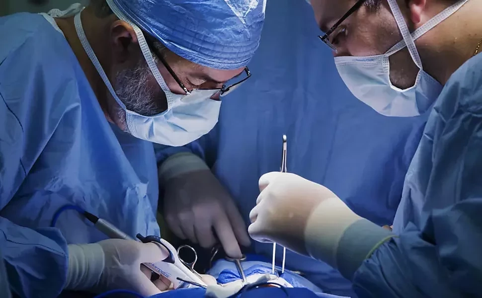 Saiba quais são as profissões ideais para cada signo do zodíaco - imagem 4455