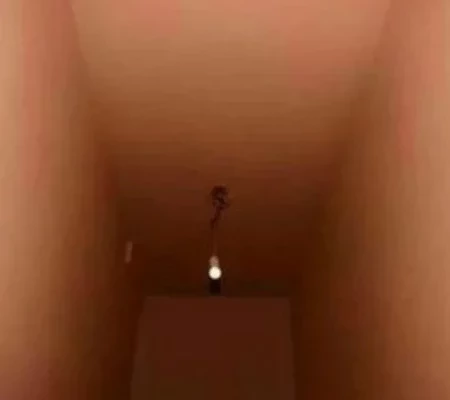 Confira dez curiosidades sobre a vagina que todo mundo deveria saber