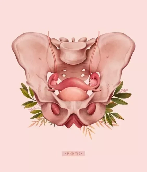 Confira dez curiosidades sobre a vagina que todo mundo deveria saber - imagem 4512