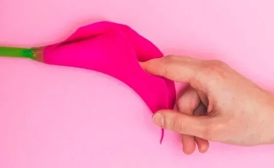 Confira dez curiosidades sobre a vagina que todo mundo deveria saber - imagem 4511