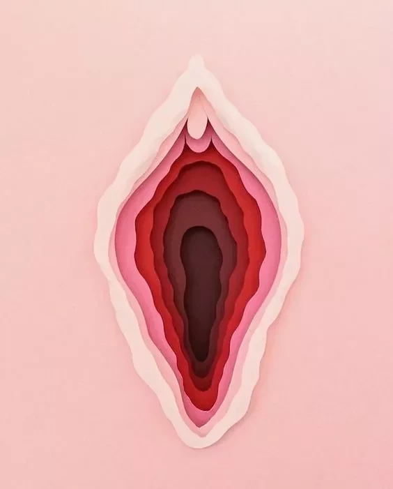 Confira dez curiosidades sobre a vagina que todo mundo deveria saber - imagem 4509