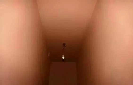 Confira dez curiosidades sobre a vagina que todo mundo deveria saber - imagem 4513