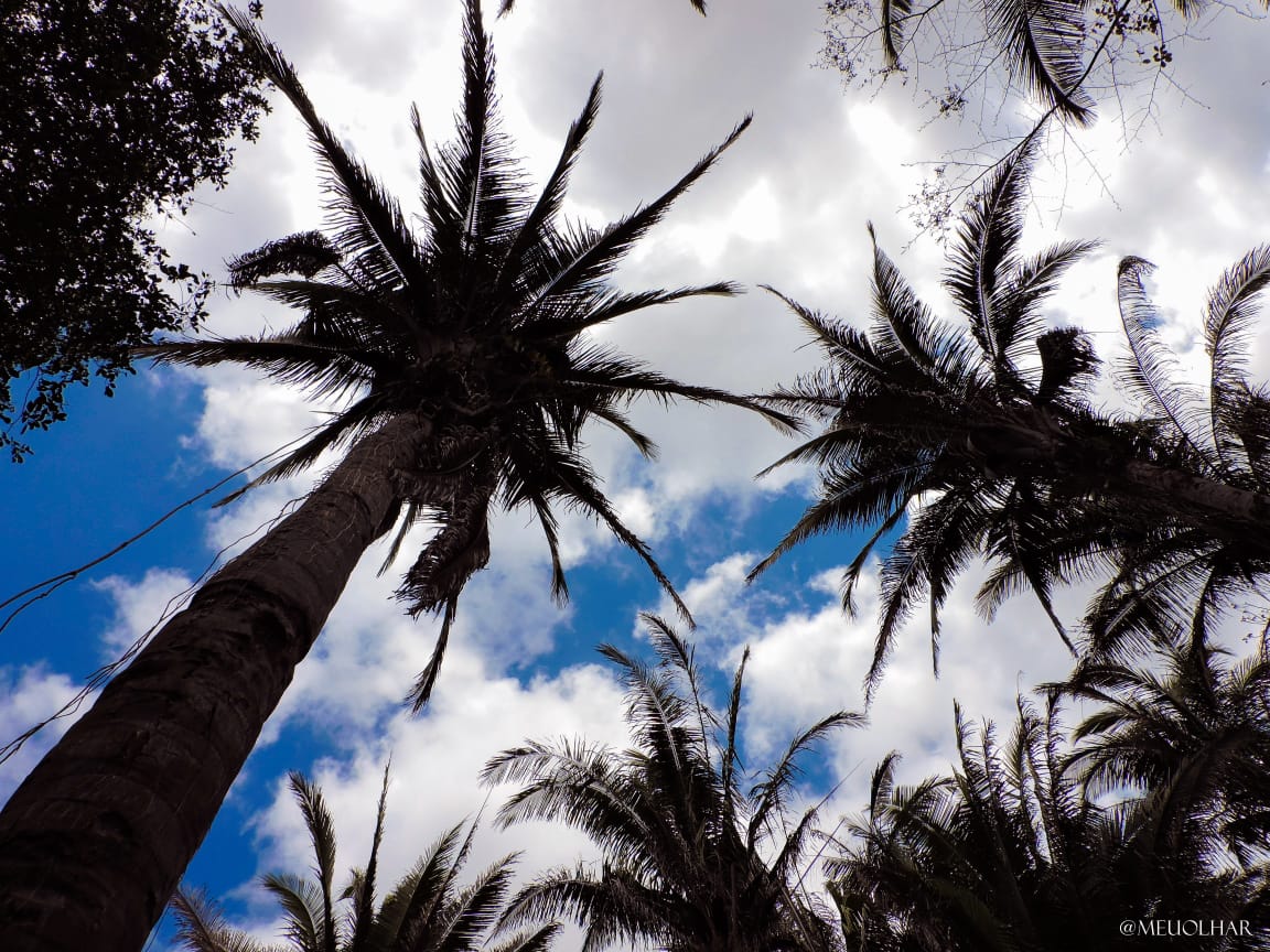 Venha viver emoções e encher os olhos com as belezas naturais  - Imagem 3