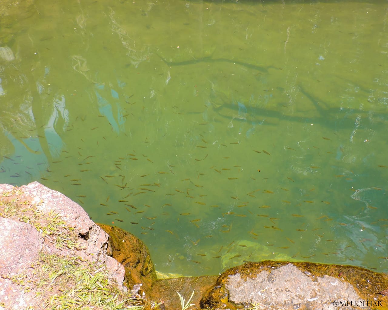 Venha viver emoções e encher os olhos com as belezas naturais  - Imagem 12