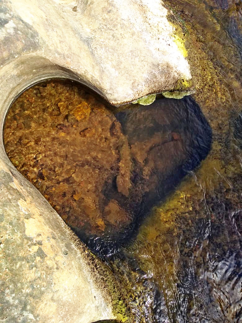 Venha viver emoções e encher os olhos com as belezas naturais  - Imagem 5