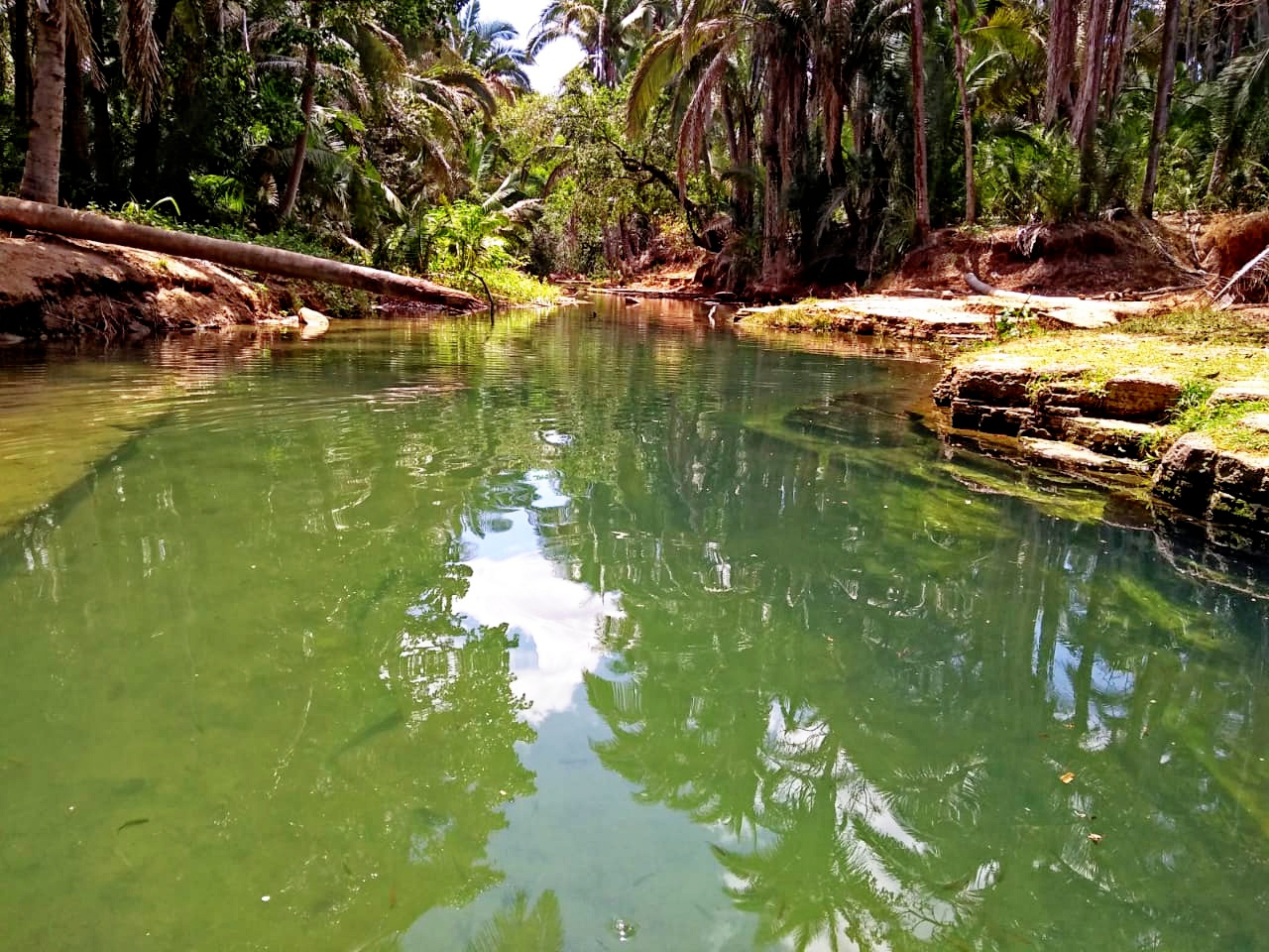 Venha viver emoções e encher os olhos com as belezas naturais  - Imagem 2