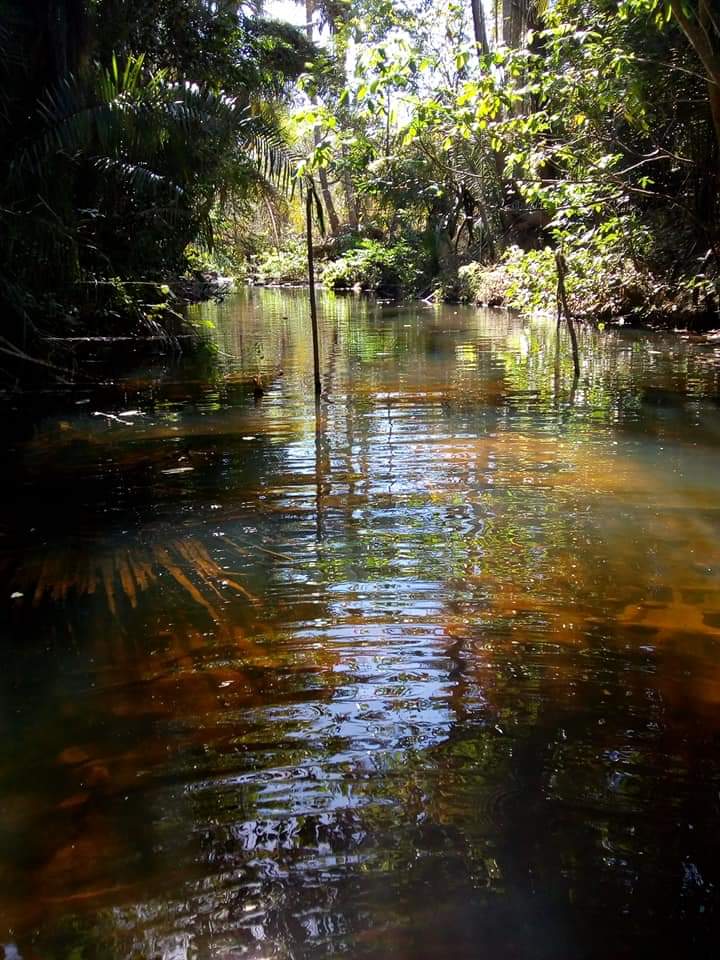 Venha viver emoções e encher os olhos com as belezas naturais  - Imagem 39