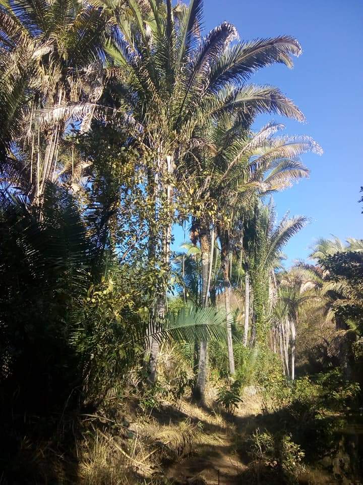 Venha viver emoções e encher os olhos com as belezas naturais  - Imagem 40