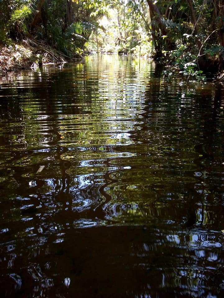 Venha viver emoções e encher os olhos com as belezas naturais  - Imagem 38