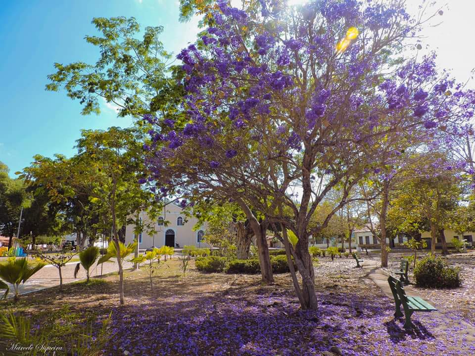 Venha viver emoções e encher os olhos com as belezas naturais  - Imagem 10