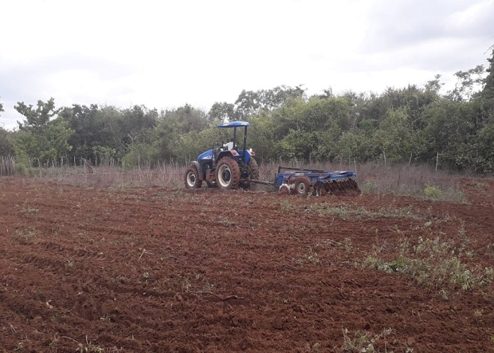 Prefeitura de Pedro II dá apoio aos agricultores da região com orientações, acompanhamento e aração de terra - Imagem 1