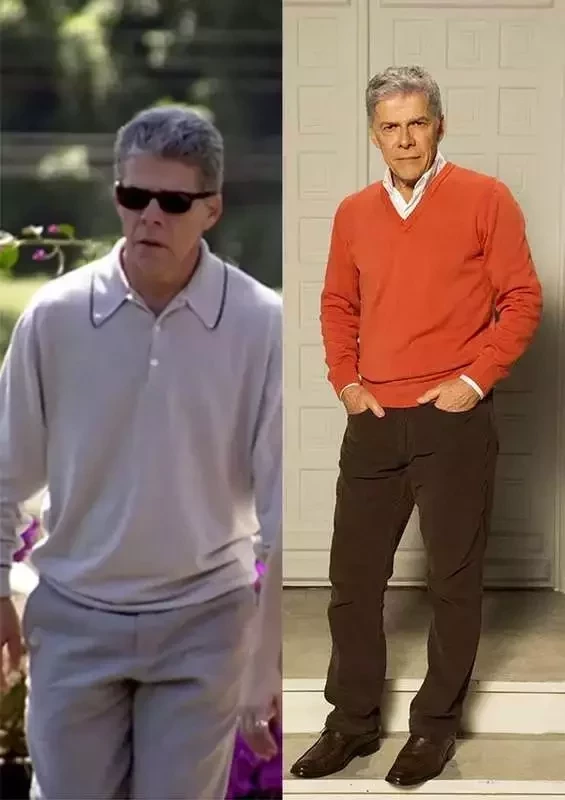 20 anos depois, veja como estão os atores de “Presença de Anita” - imagem 14216