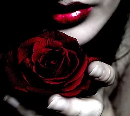 O que fazer para seduzir cada signo do zodíaco