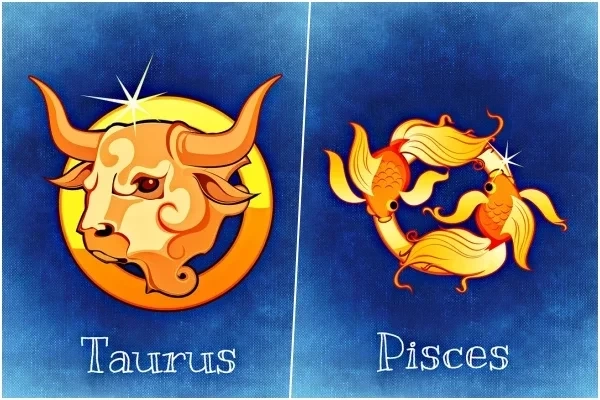 Descubra os signos que formam casais que empatam um ao outro - imagem 28133