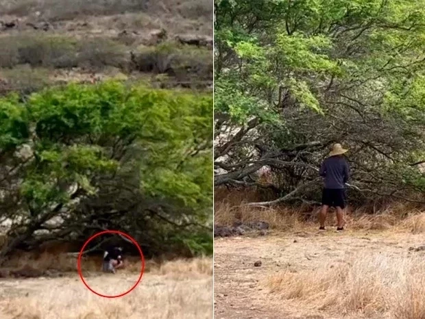  Xanddy flagra Carla Perez usando "banheiro natural" em trilha; fotos - imagem 28498