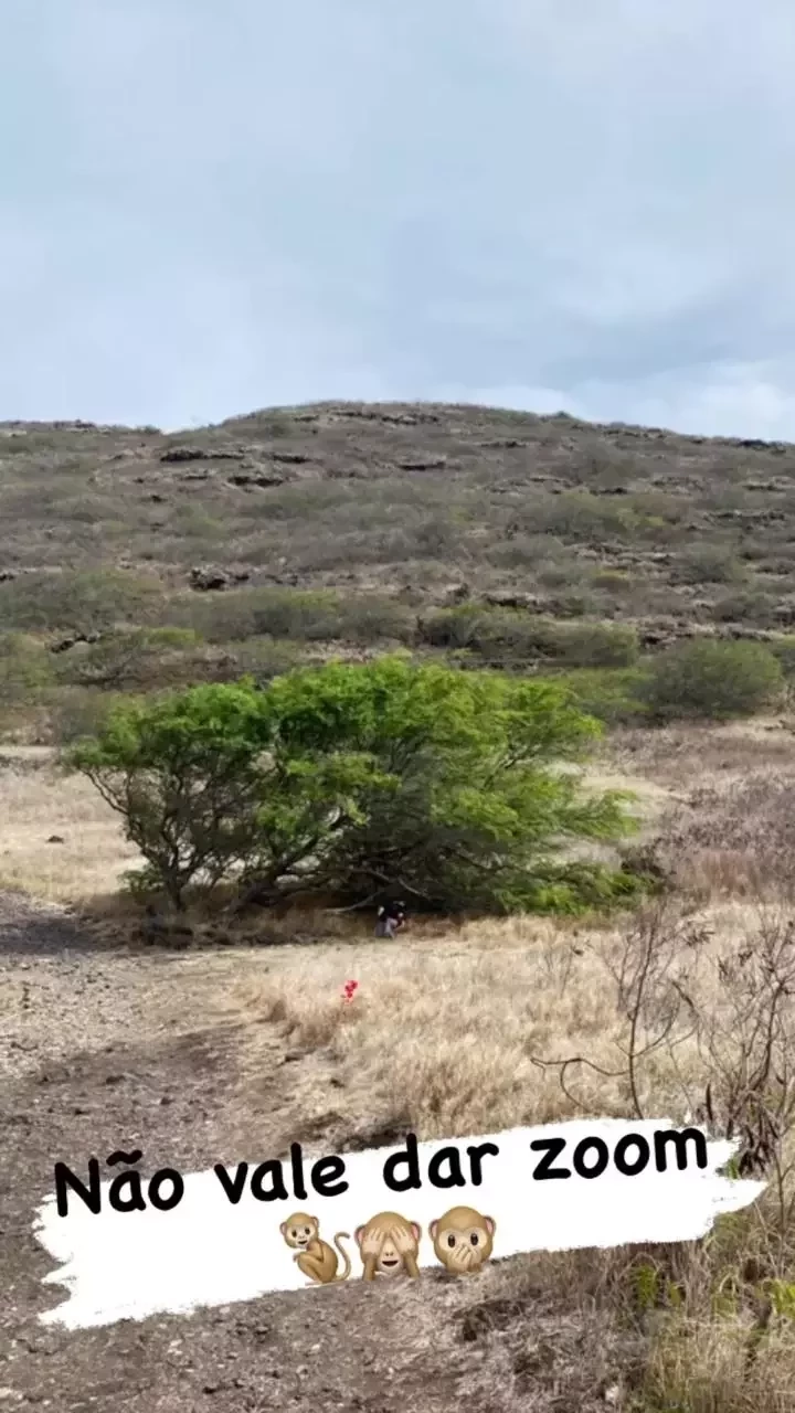  Xanddy flagra Carla Perez usando "banheiro natural" em trilha; fotos - imagem 28499