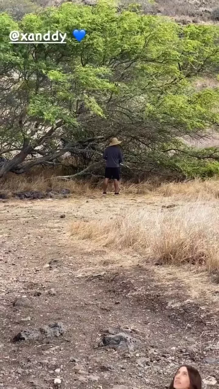  Xanddy flagra Carla Perez usando "banheiro natural" em trilha; fotos - imagem 28500