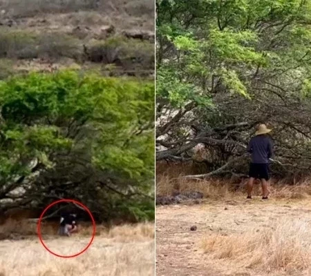  Xanddy flagra Carla Perez usando “banheiro natural” em trilha; fotos