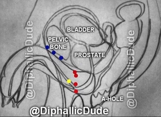 Homem que nasceu com 2 pênis de 25 cm revela todos os seus segredos - imagem 29742
