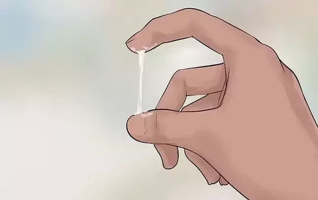 Suspeita de gravidez: Conheça 14 sinais de que você pode estar grávida - imagem 29723