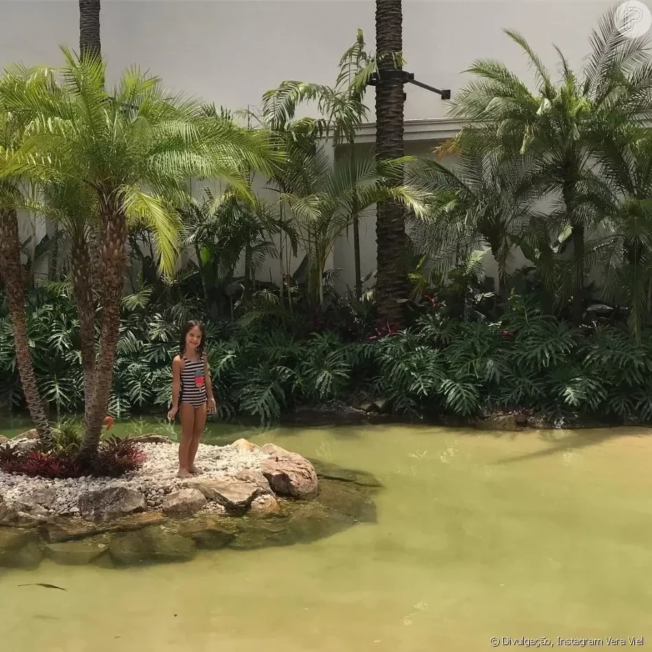 Veja quanto custa a piscina com 'praia' e 'ilha' do Rodrigo Faro - imagem 30208